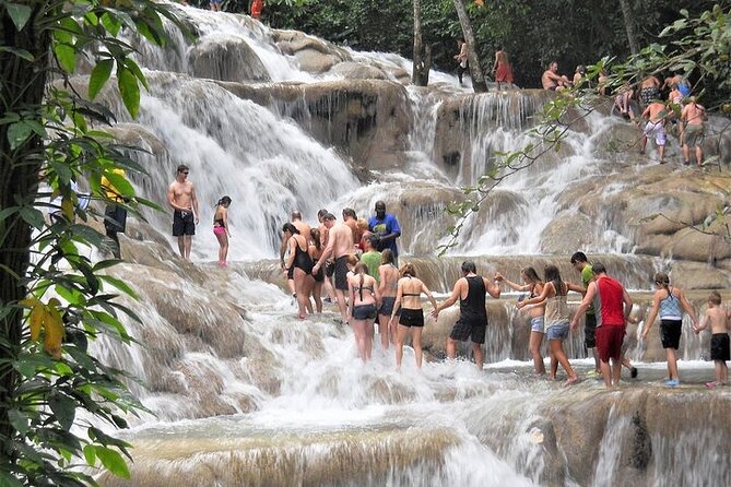 Blue Hole, Secret Falls, and Dunn's River Falls Combo Tour - Who Will Love This Tour?