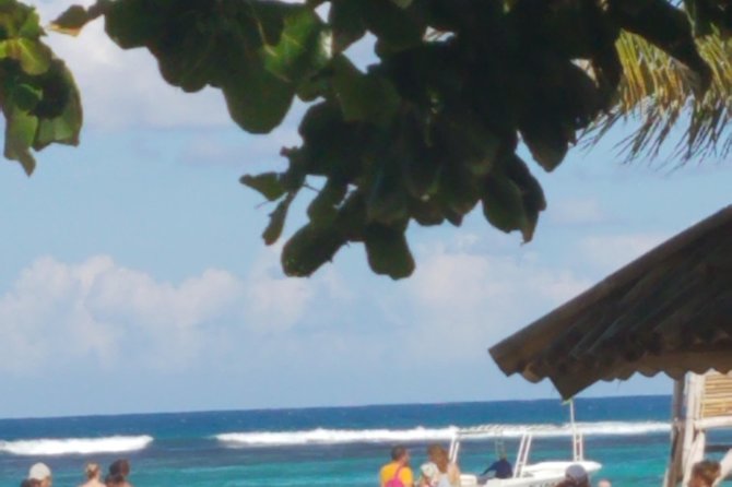 Private Tour Puerto Seco Beach Tour from Ocho Rios - In-Depth Look at the Experience