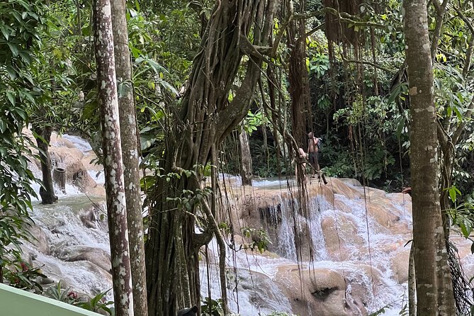 Jamaican Escapade Experience Dunn's River's Natural Majesty - A Detailed Look at the Dunn’s River Experience