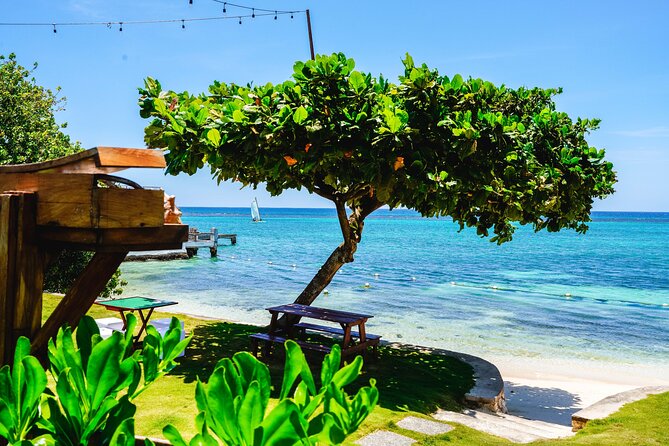 Ocho Rios Gourmet Jamaican Food and Private Beach Experience - Who Should Consider This Tour?