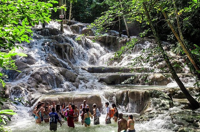 ATV and Dunns River Falls Adventure - Why This Tour Stands Out