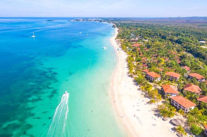 Private Tour From Ocho Rios or Runaway Bay To Negril 7 Miles Beach & Ricks Cafe - Who Is This Tour Best For?