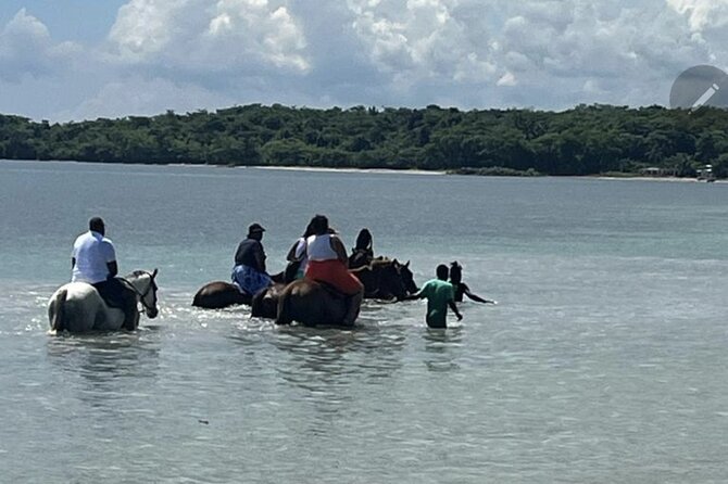 Bamboo Rafting and HorseBack Riding Excursion in OchoRios Jamaica - Who Will Love This Tour?