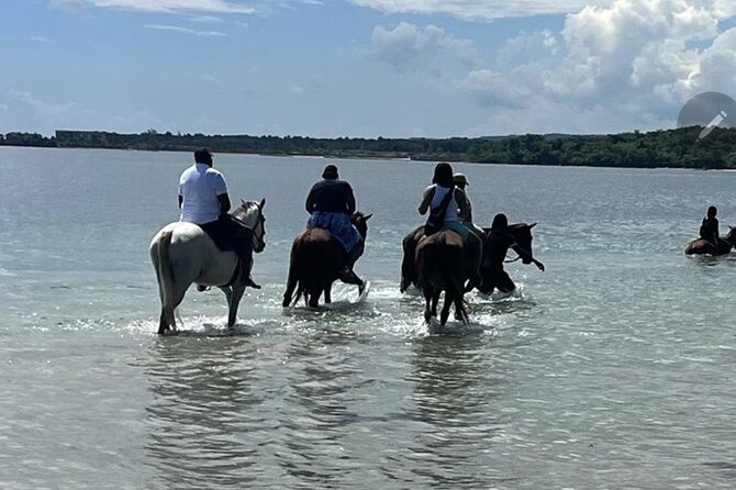 Bamboo Rafting and HorseBack Riding Excursion in OchoRios Jamaica - A Deep Dive into the Experience