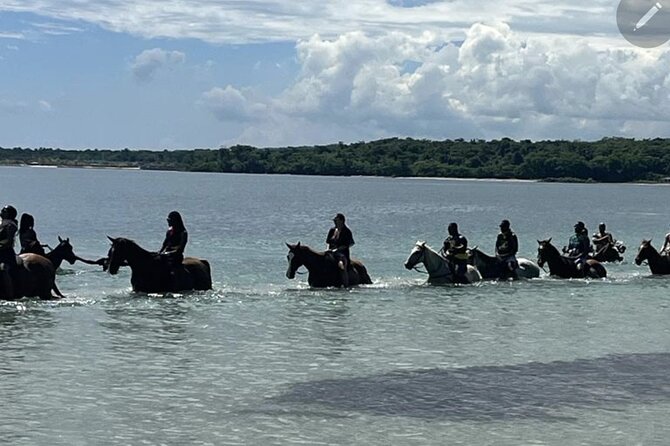 Bamboo Rafting and HorseBack Riding Excursion in OchoRios Jamaica - Key Points