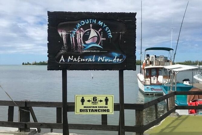 Luminous lagoon Dark night Tour from Ocho Rios and Runaway Bay Hotels - Who Will Love This Tour?