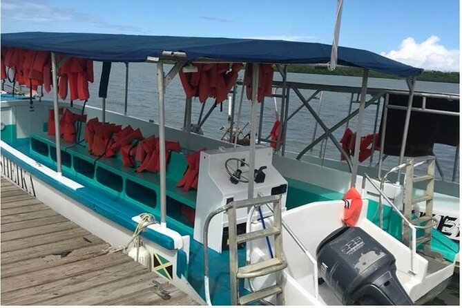 Luminous lagoon Dark night Tour from Ocho Rios and Runaway Bay Hotels - Frequently Asked Questions