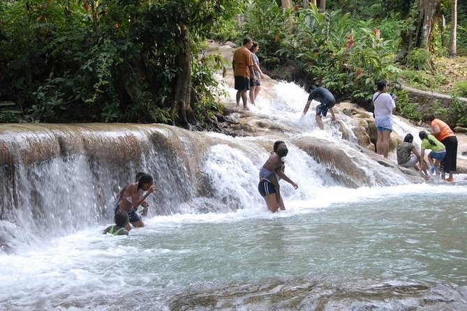 Dunn's River Falls Tour from Ocho Rios - Who Should Consider This Tour?