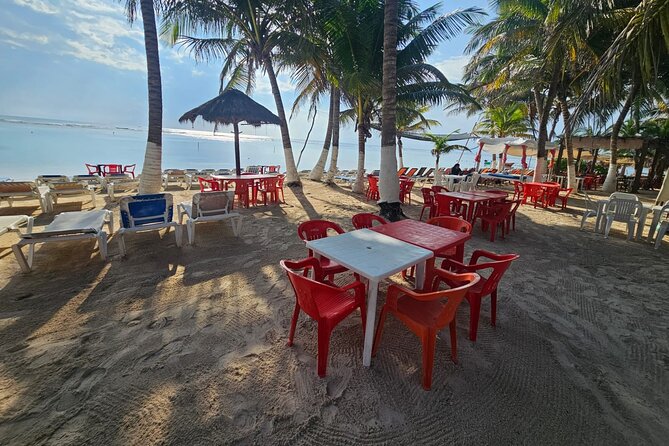 Tour in the Hacienda del Tequila - Why This Tour Could Be a Great Fit