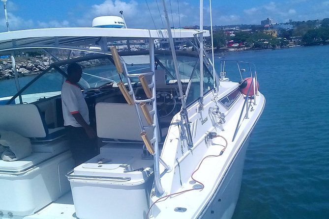 Falmouth Shore Excursion: Private Snorkel Tour - The Sum Up