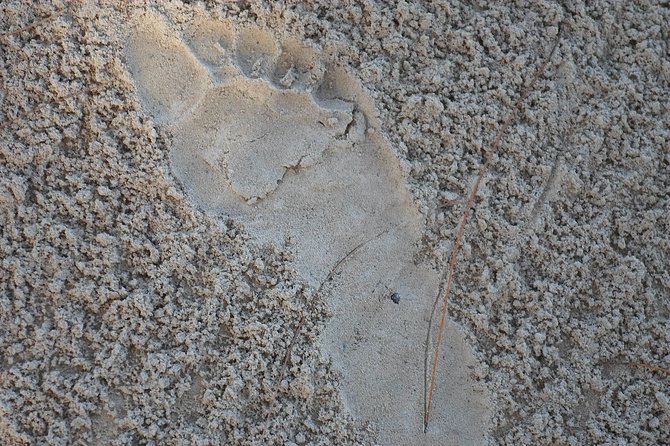 Cave Explorer Plus Waterfalls Tour From Falmouth Private Driver - What the Reviews Say