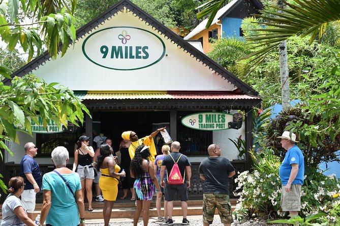 Day Trip to Bob Marley's Nine Mile and Dunn's River Falls from Falmouth - Key Points