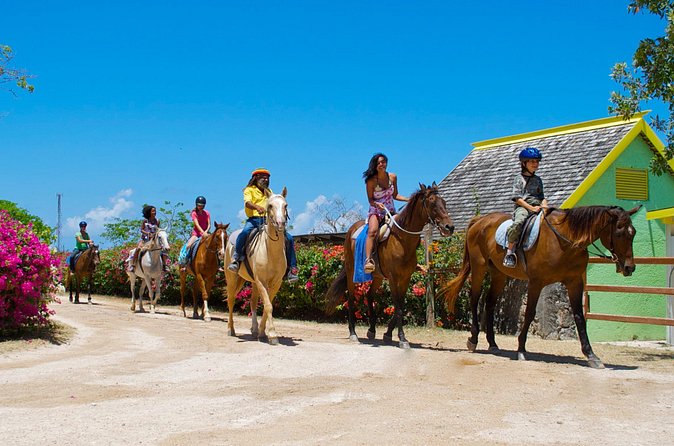 Sand n Saddle Horseback Ride & Swim Tour from Falmouth - FAQ