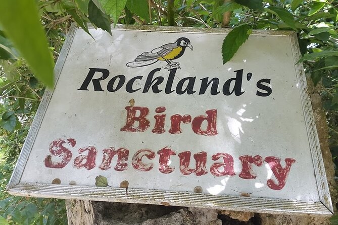 Private Rockland Bird Sanctuary Tour from Falmouth - Key Points