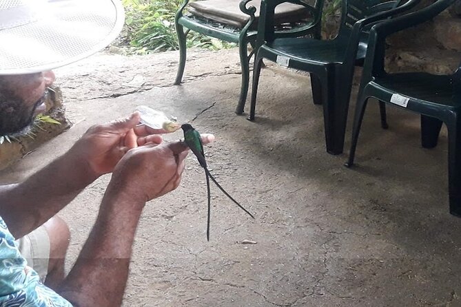 Private Rockland Bird Sanctuary Tour from Falmouth - What Travelers Are Saying