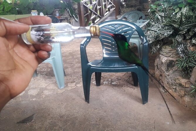 Private Rockland Bird Sanctuary Tour from Falmouth - Who This Tour Will Suit Best