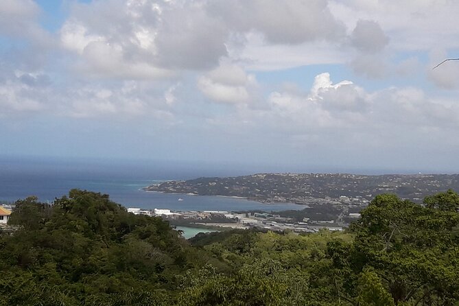 Private Rockland Bird Sanctuary Tour from Falmouth - Final Thoughts: Is It Worth It?