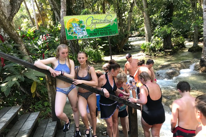 Combo Tour Dunn's River Falls and BlueTour from falmouth - Analyzing the Value
