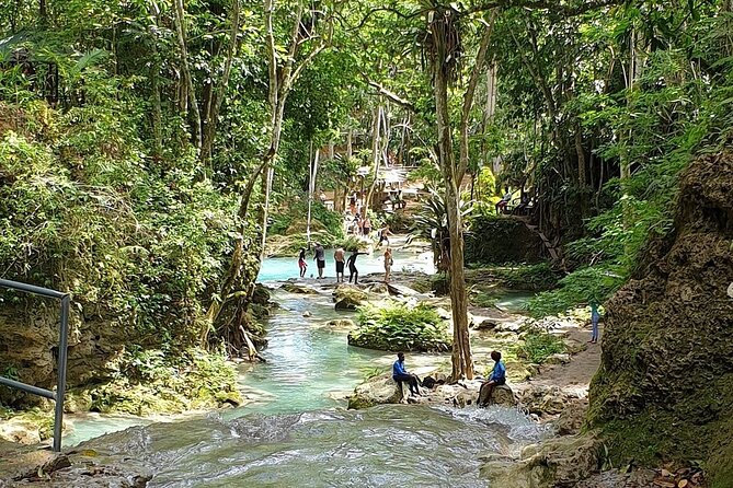 Combo Tour Dunn's River Falls and BlueTour from falmouth - Who Should Consider This Tour?