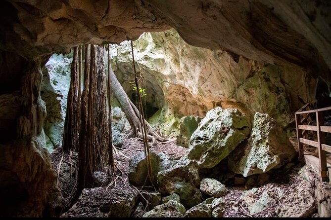 Green Grotto Cave and River tubing Adventure - Practical Tips for Booking and Enjoying the Tour