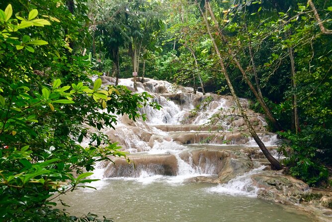 Dunn's River Falls Private Tour from Montego Bay - Who Should Consider This Tour?
