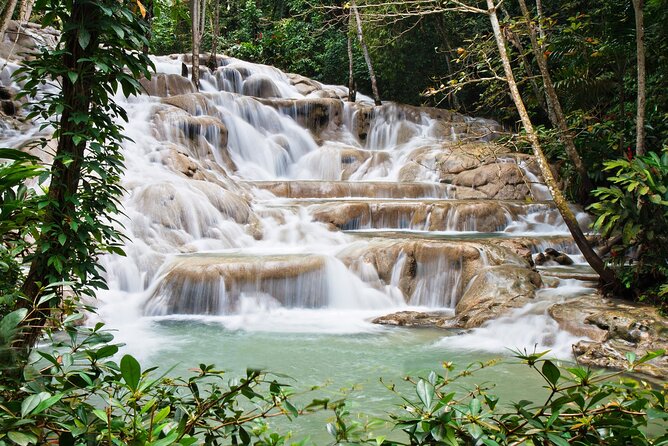 Dunn's River Falls Private Tour from Montego Bay - Experience the Best of Jamaica: Dunns River Falls Private Tour from Montego Bay