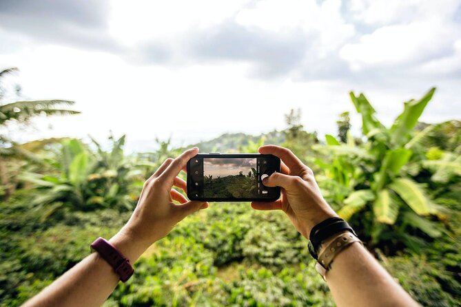 Full Day Blue Mountains Tour including Lunch - Why This Tour Offers Good Value