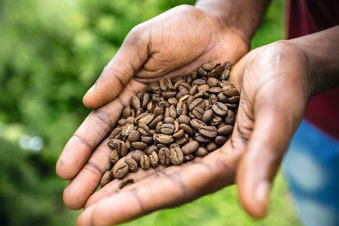 Full Day Blue Mountains Tour including Lunch - FAQs