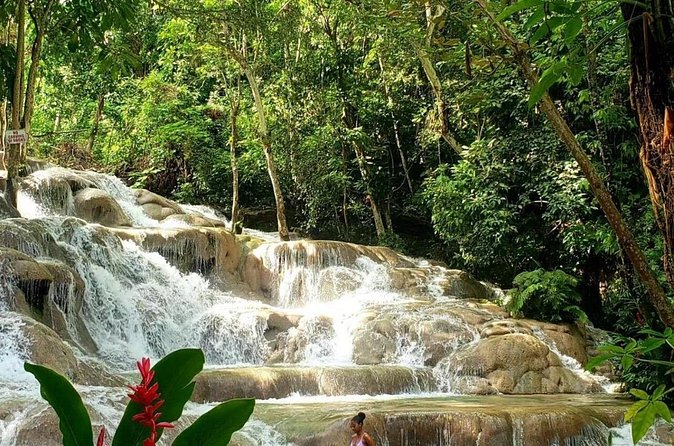 Private Dunns River Tour from Falmouth Cruise Ship Pier - Who Would Love This Tour?