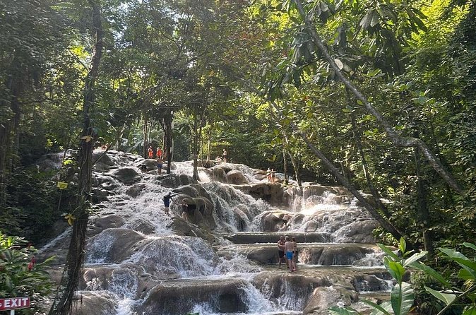 Private Dunns River Tour from Falmouth Cruise Ship Pier - Pricing and Value