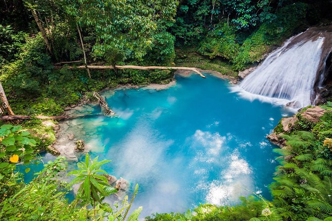 Blue Hole and Dunn's River Falls Tour from MontegoBay or Falmouth - Who Would Love This Tour?