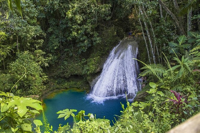 Blue Hole Secret Fall and Dunn's River Falls Combo Tour Ocho Rios - What the Reviews Highlight