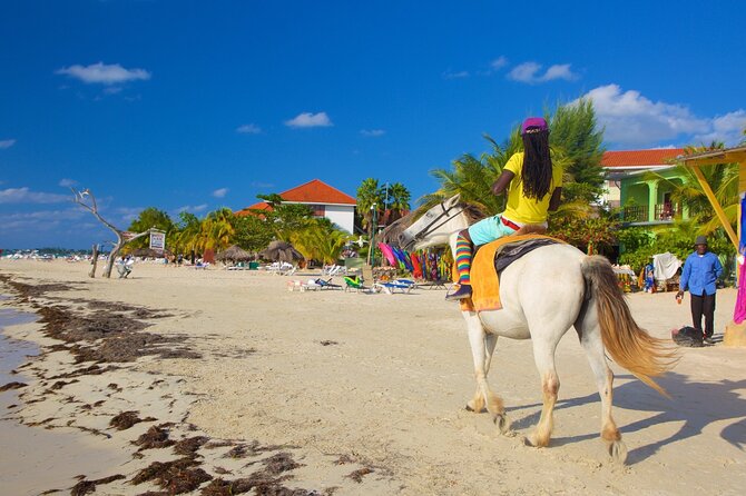 Ricks Cafe with 7 Mile Beach Private Tour from Montego - Exploring the Tour: A Deep Dive into the Experience