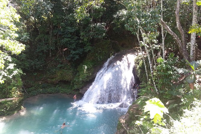 Blue Hole and Dunns River Falls from Falmouth - The Blue Hole: A Nature Lover’s Dream