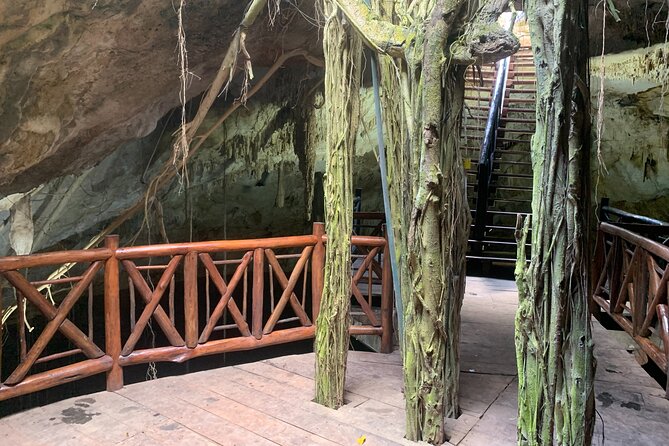 Cenote Adventure Tour - Transportation & Group Size