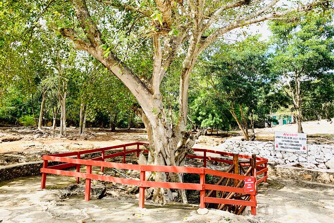 Cenote Adventure Tour - Who Should Consider This Tour?