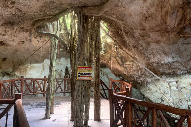 Cenote Adventure Tour - Good To Know