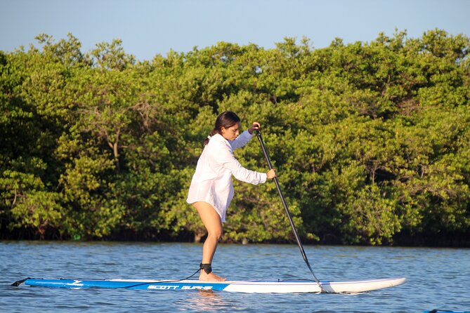 Learn Paddle Board and Explore the Mangroves of Progreso - Authentic Moments from Reviews