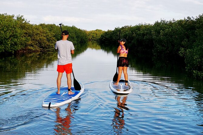 Learn Paddle Board and Explore the Mangroves of Progreso - Exploring the Mangroves of Progreso on a Paddleboard Adventure