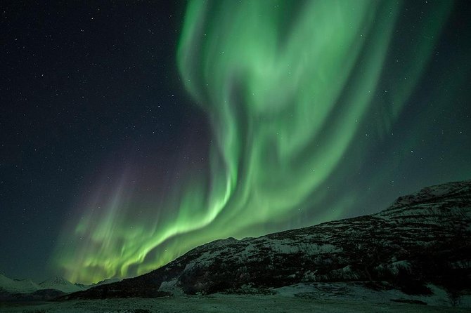 Tromso Aurora Hunt with Bonfire, Soup, Winter Gear & Transfers - FAQ: Practical Questions Answered