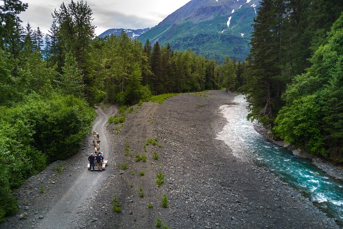 Seward and Kenai Fjords National Park Guided Tour with Lunch - In-Depth Breakdown: Why Each Stop Matters
