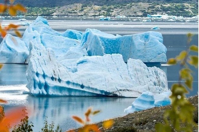 Grand Seward Ocean and Icebergs 1.5 hours 2 Landings Seward - Who Should Consider This Tour?