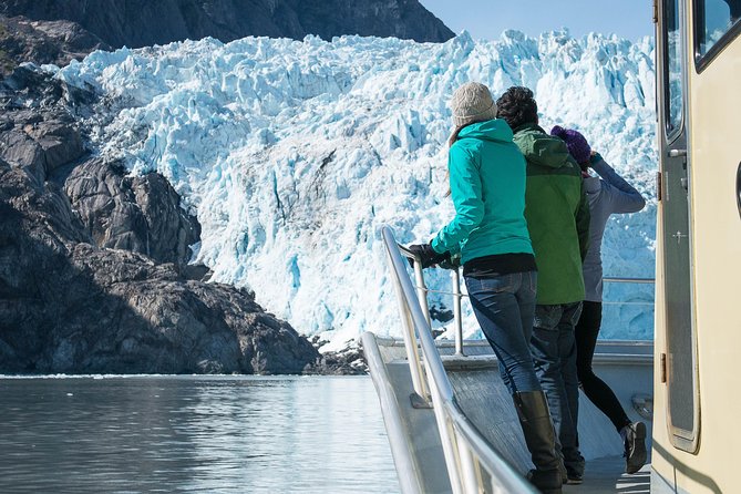 Full-Day Kenai Fjords National Park Northwestern Cruise - An Overview of the Experience