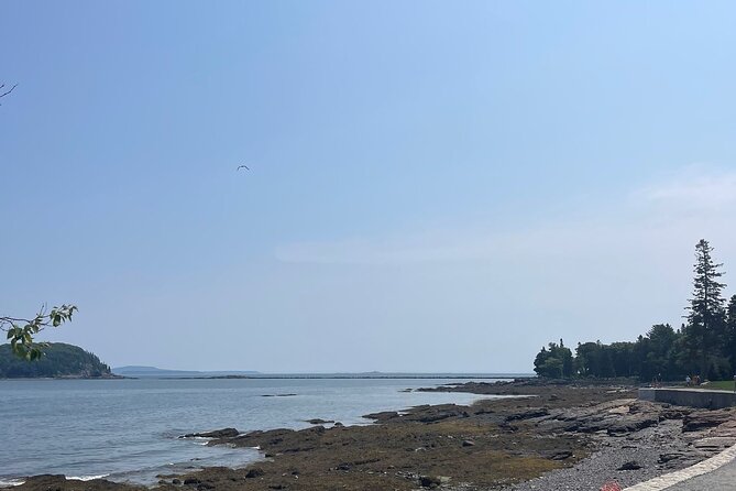 Explore Acadia with Ease Premium E-bike Rentals and Free Delivery - Who Will Love this Experience?