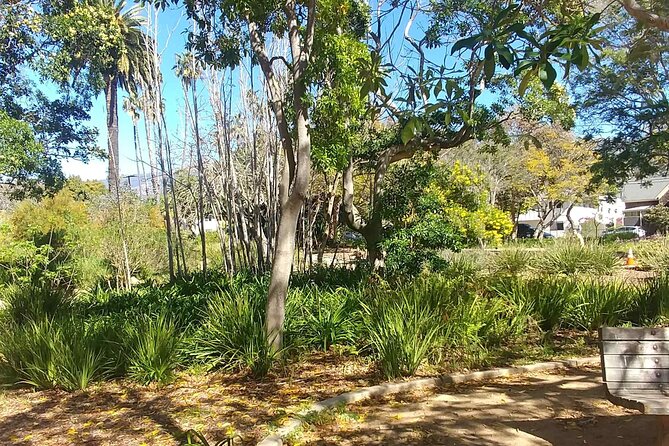 Ultimate Guide to Santa Barbara: A GPS Self-Guided Urban Stroll - The Sum Up: Is This Tour Right for You?