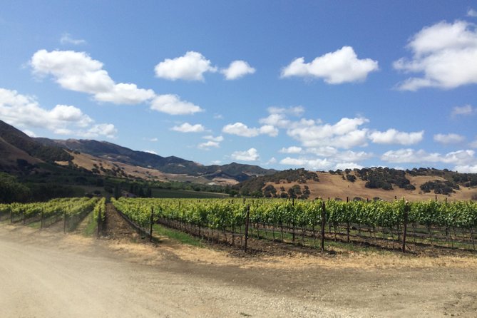 Wine Lovers Tour from Santa Barbara Area - Key Points