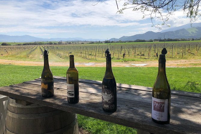 Private Wine Tour from the Santa Ynez Valley - Authentic Experiences and Genuine Reviews