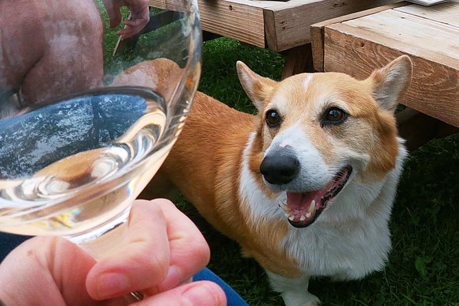 Private Wine Tour from the Santa Ynez Valley - What Do You Visit? The Itinerary in Detail