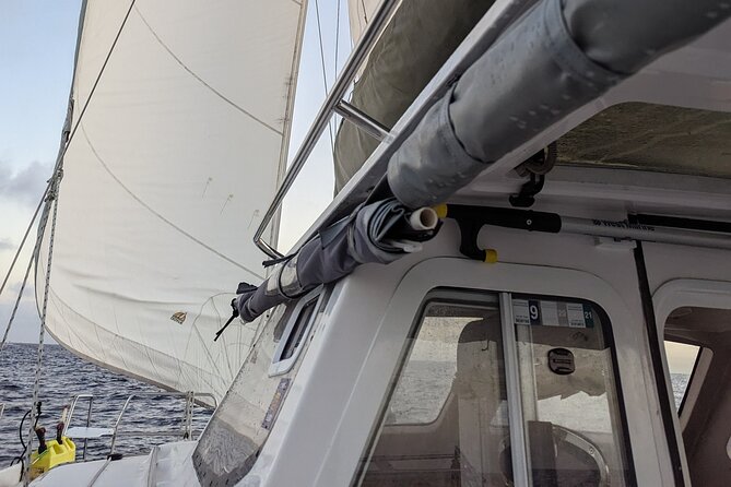 Private Intracoastal Waterway Sailing Cruise - FAQs