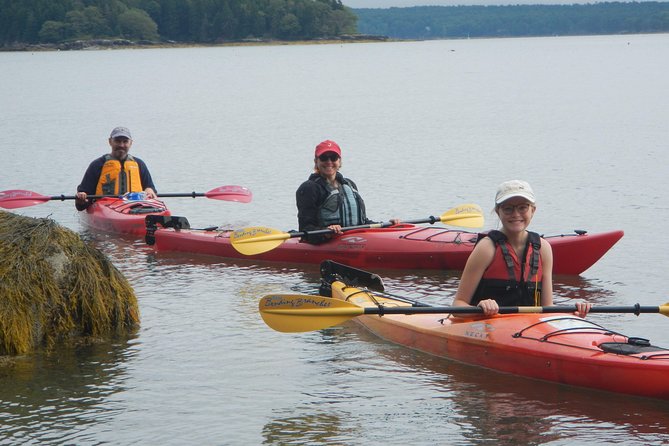 Sea Kayak to an Island Tour in Casco Bay - Key Points